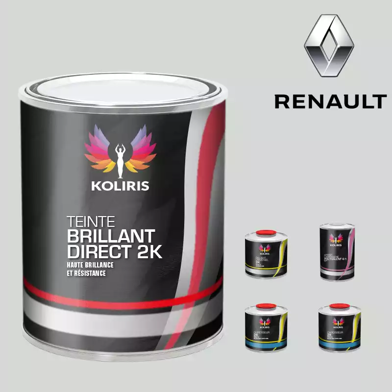 Pack peinture et primaire voiture brillant direct VOC420 Renault