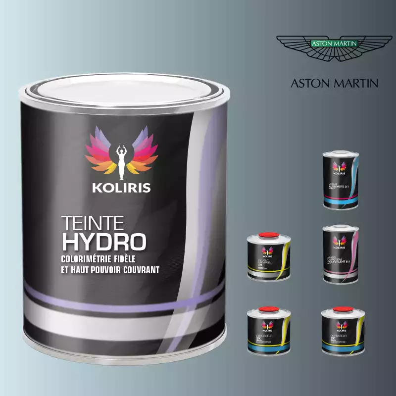 Pack peinture vernis apprêt voiture hydro Aston Martin