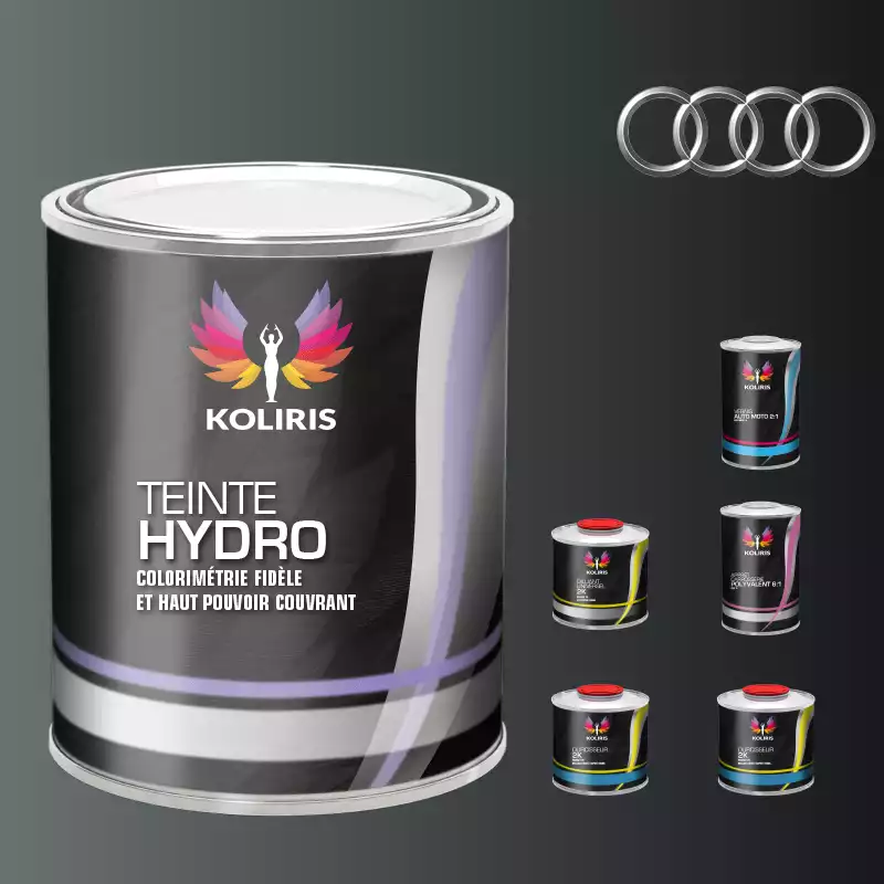Pack peinture vernis apprêt voiture hydro Audi
