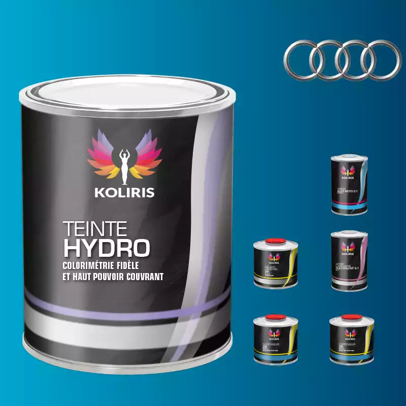 Pack peinture vernis apprêt voiture hydro Audi