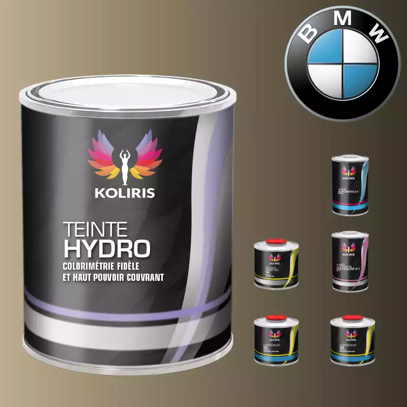 Pack peinture vernis apprêt voiture hydro Bmw 