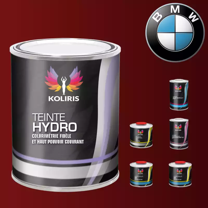 Pack peinture vernis apprêt voiture hydro Bmw
