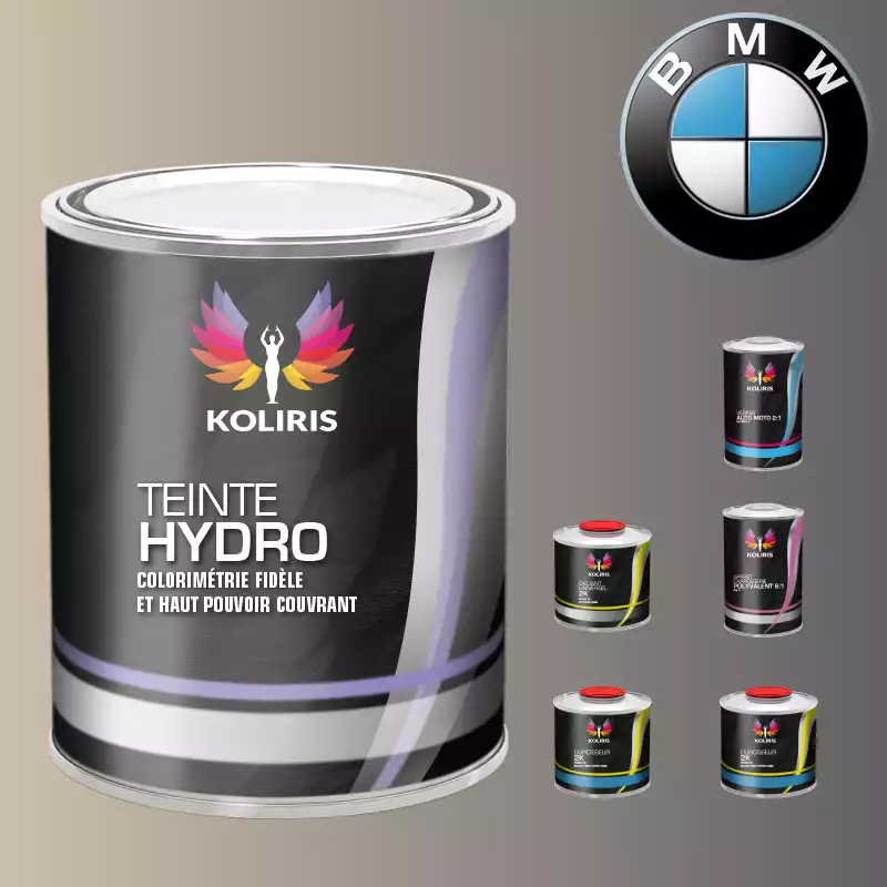 Pack peinture vernis apprêt voiture hydro Bmw