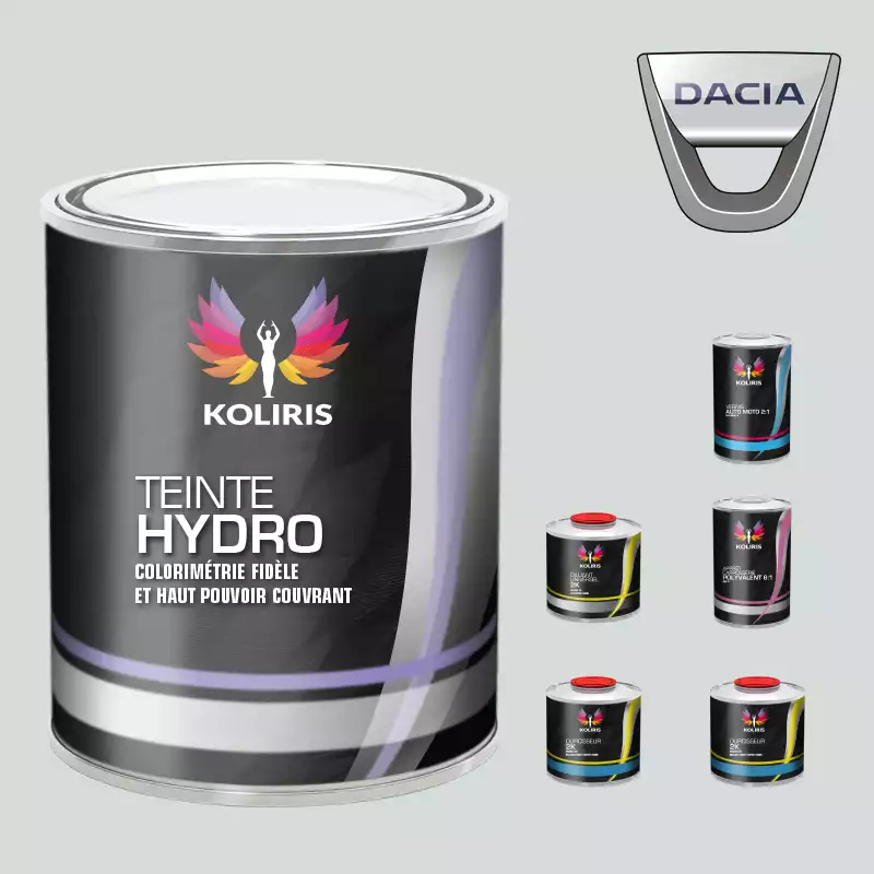 Pack peinture vernis apprêt voiture hydro Dacia