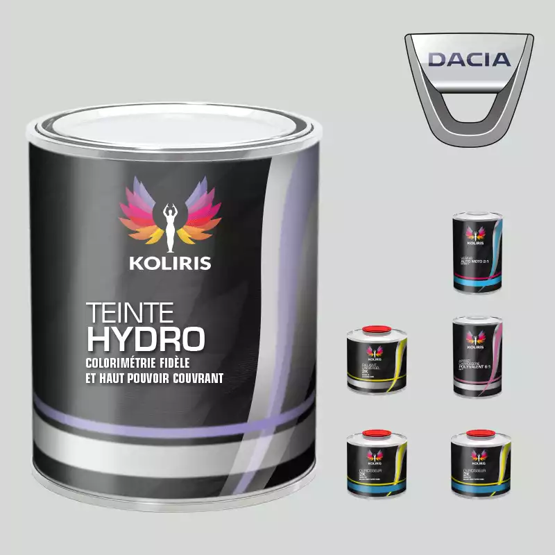 Pack peinture vernis apprêt voiture hydro Dacia