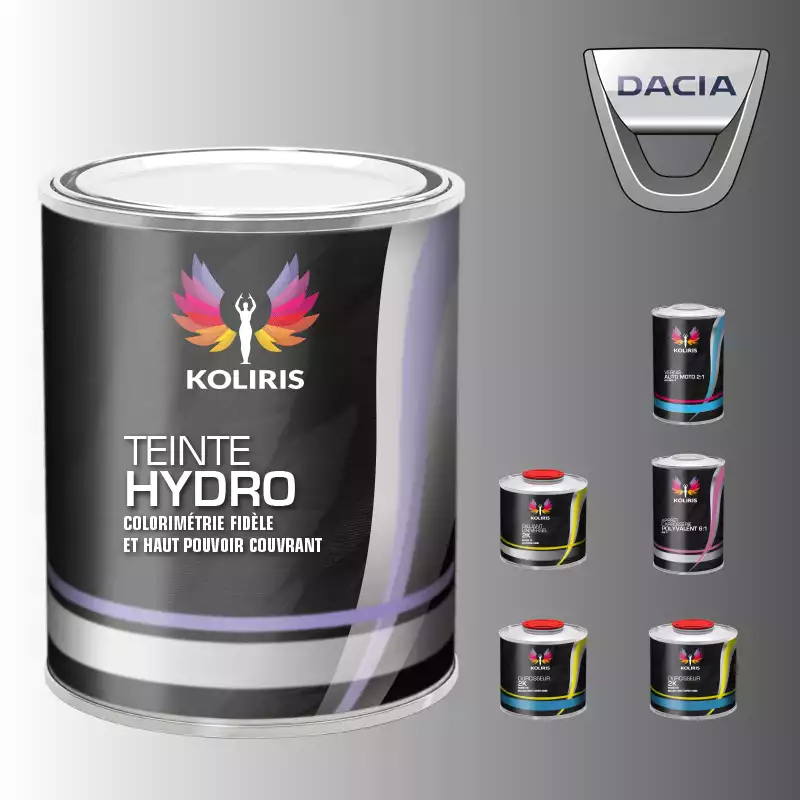 Pack peinture vernis apprêt voiture hydro Dacia