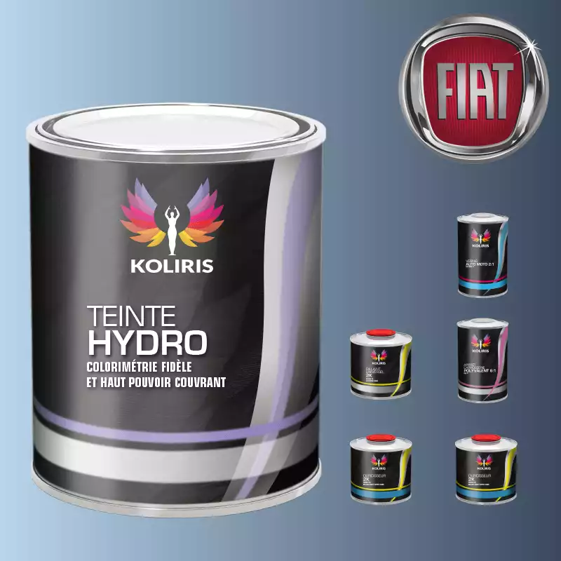 Pack peinture vernis apprêt voiture hydro Fiat