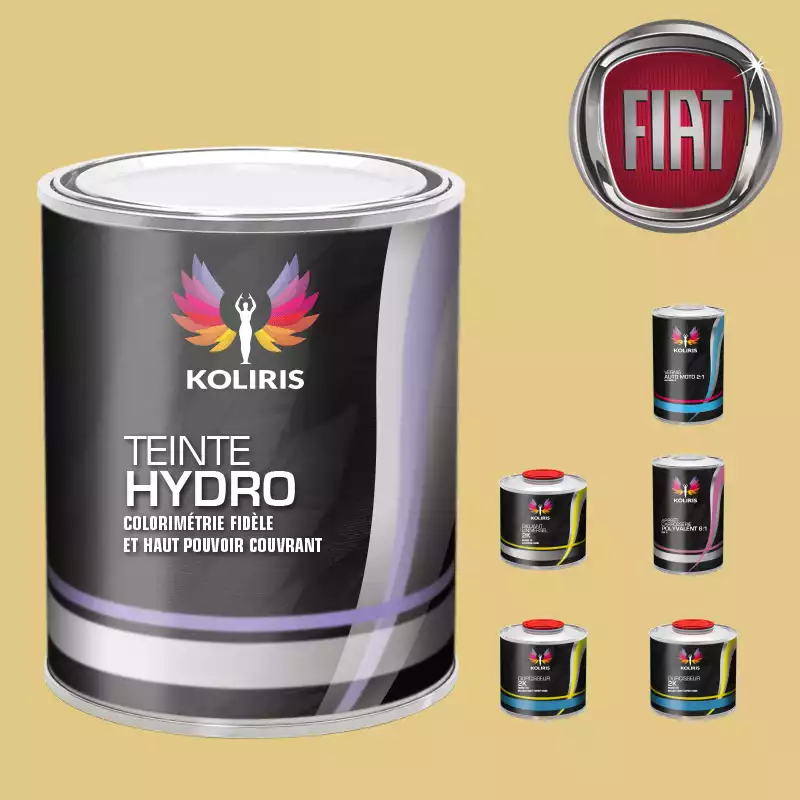 Pack peinture vernis apprêt voiture hydro Fiat