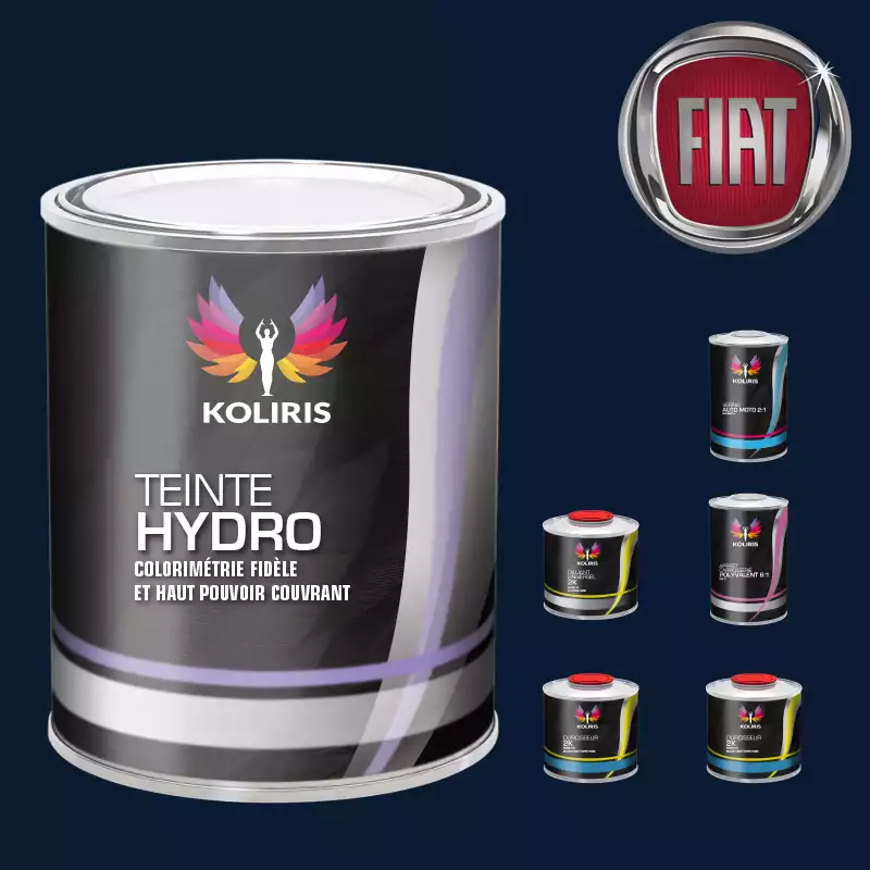 Pack peinture vernis apprêt voiture hydro Fiat