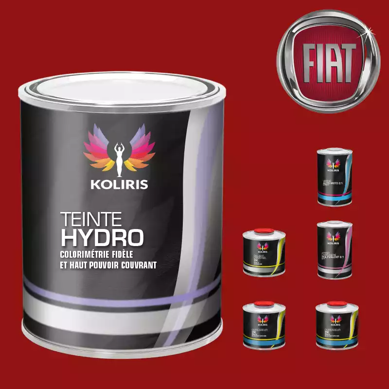Pack peinture vernis apprêt voiture hydro Fiat