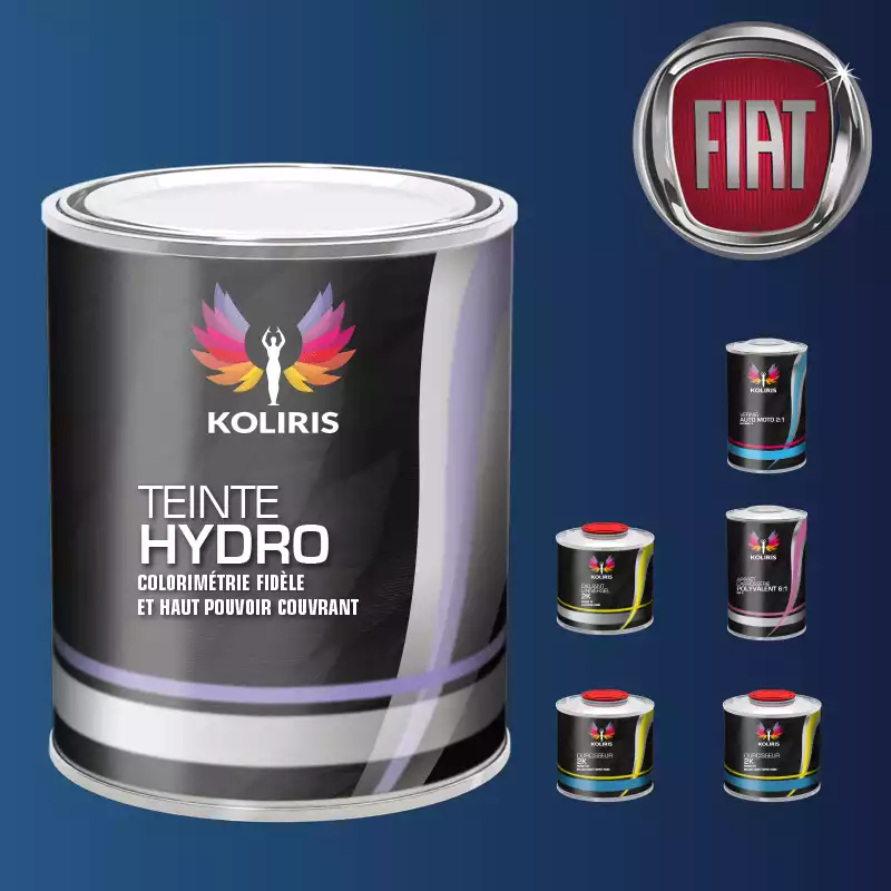 Pack peinture vernis apprêt voiture hydro Fiat