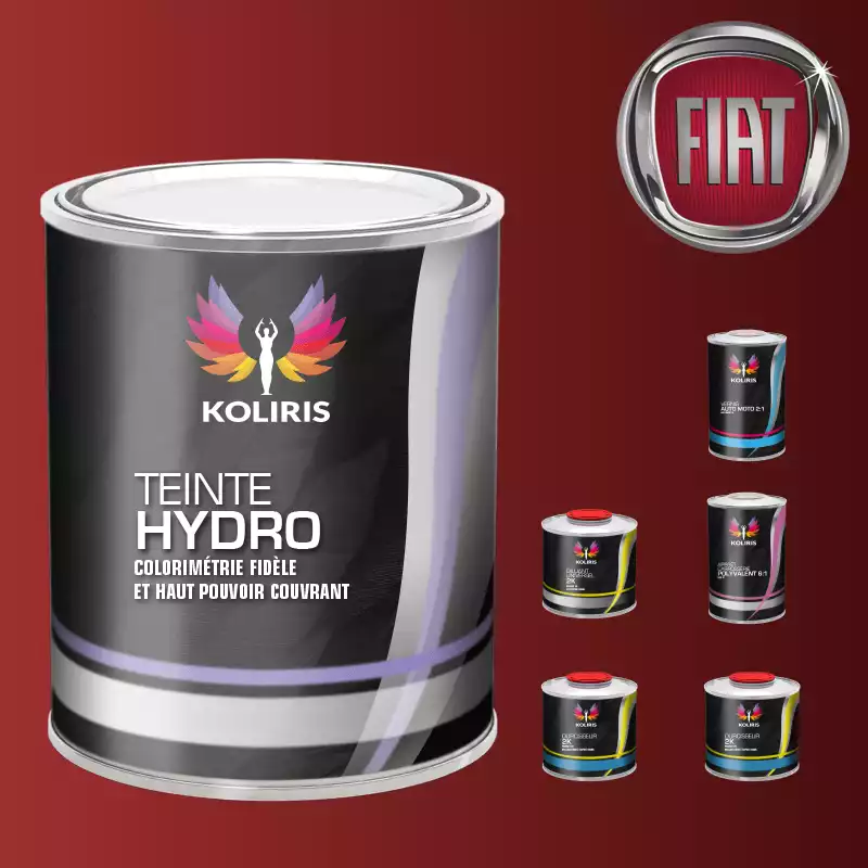 Pack peinture vernis apprêt voiture hydro Fiat