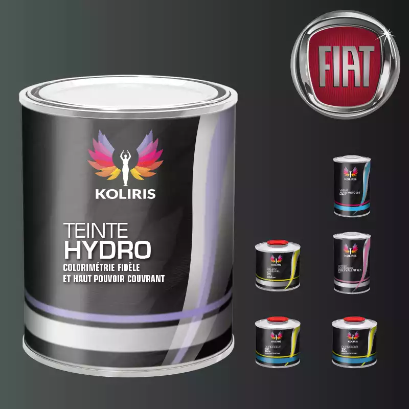Pack peinture vernis apprêt voiture hydro Fiat