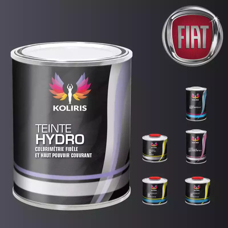 Pack peinture vernis apprêt voiture hydro Fiat