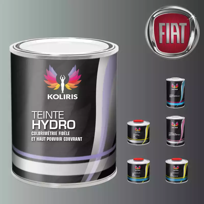 Pack peinture vernis apprêt voiture hydro Fiat