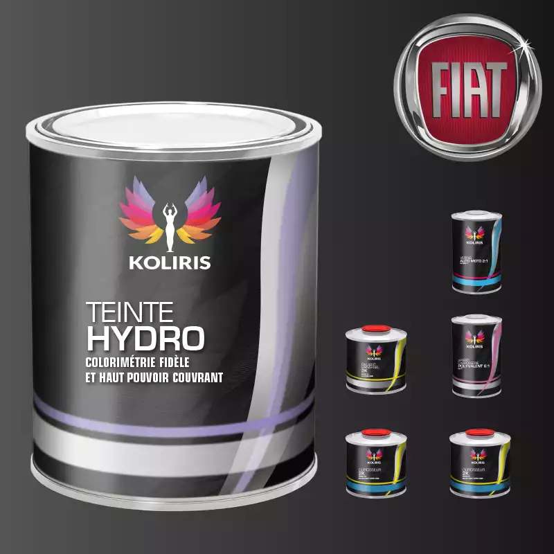 Pack peinture vernis apprêt voiture hydro Fiat