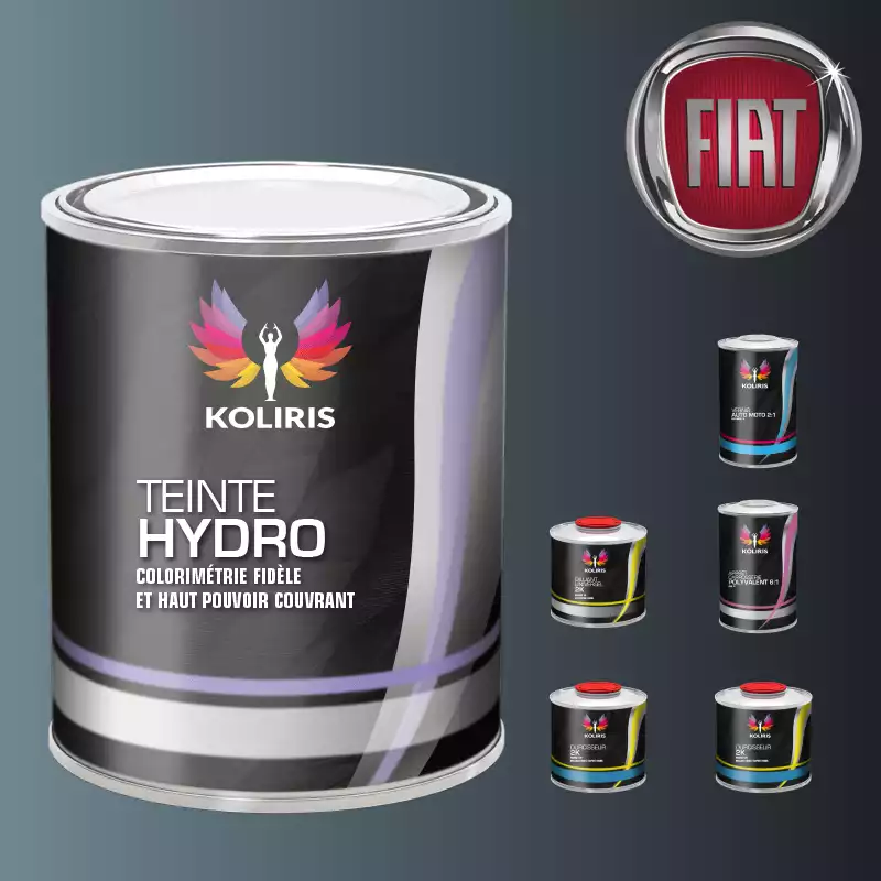 Pack peinture vernis apprêt voiture hydro Fiat