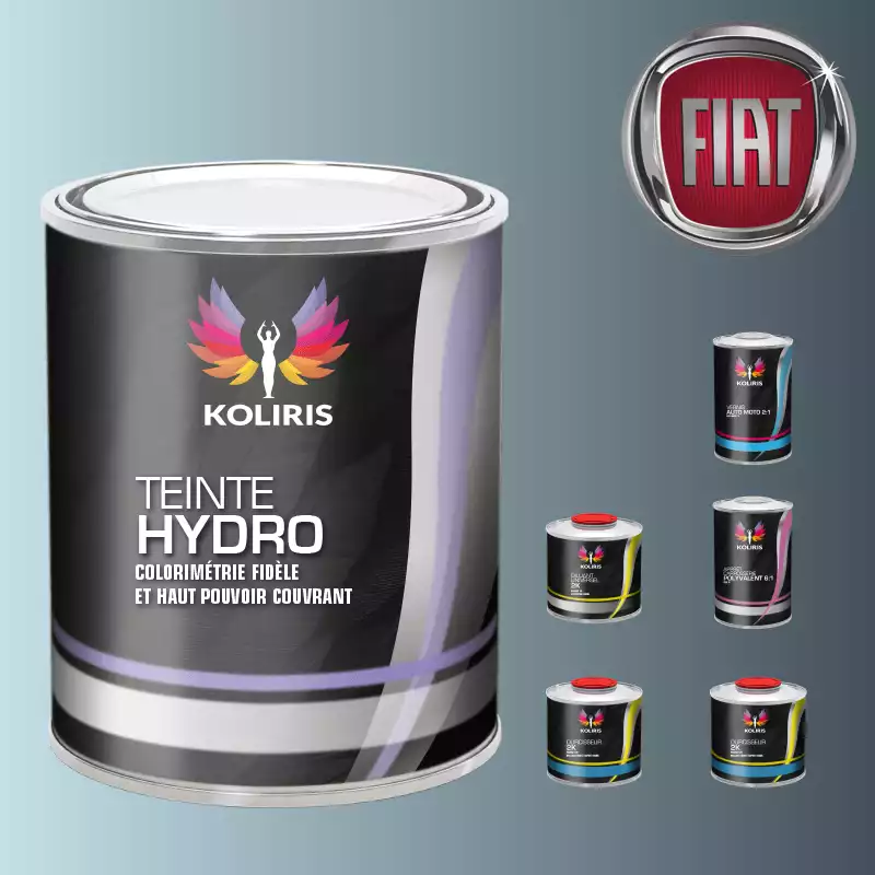 Pack peinture vernis apprêt voiture hydro Fiat