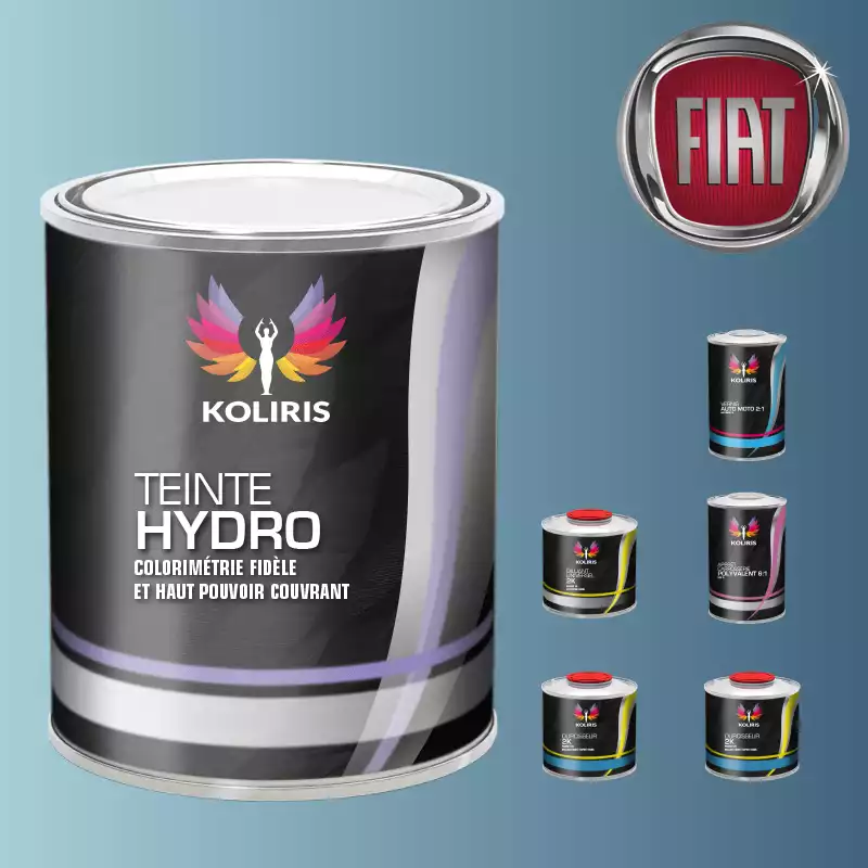 Pack peinture vernis apprêt voiture hydro Fiat
