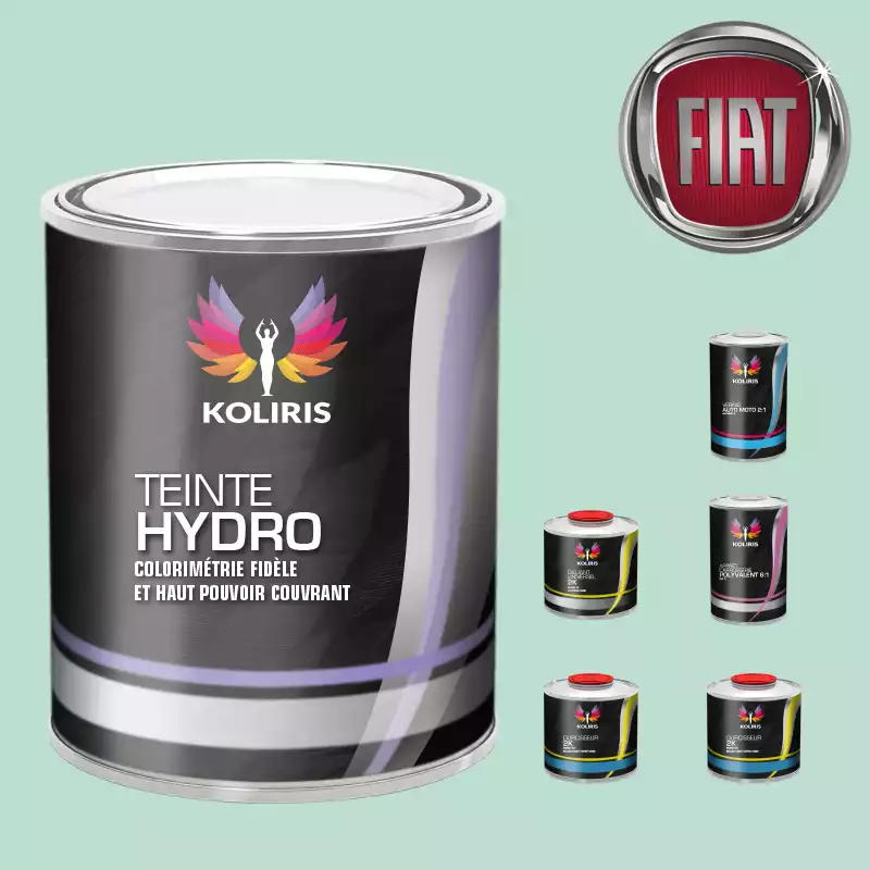 Pack peinture vernis apprêt voiture hydro Fiat