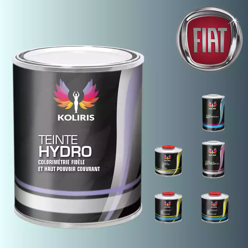 Pack peinture vernis apprêt voiture hydro Fiat