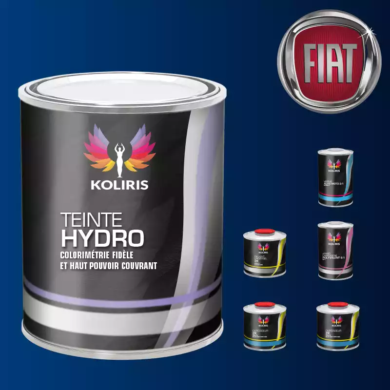 Pack peinture vernis apprêt voiture hydro Fiat