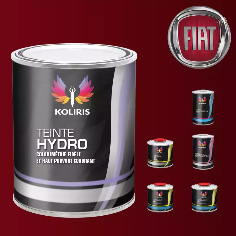 Pack peinture vernis apprêt voiture hydro Fiat