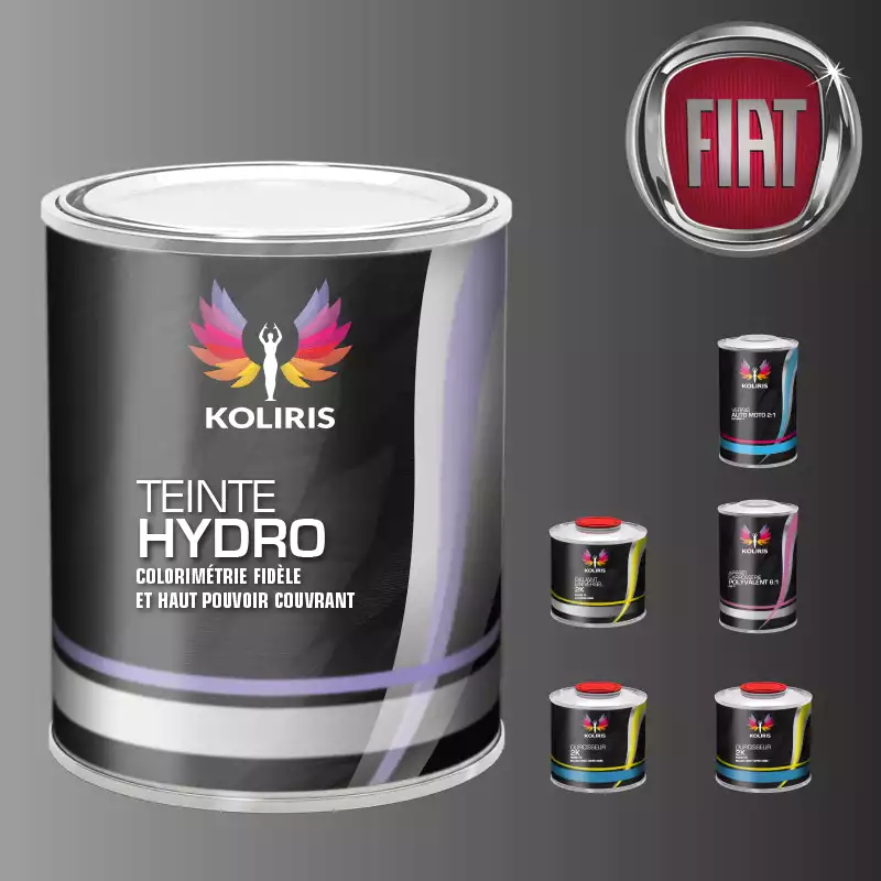 Pack peinture vernis apprêt voiture hydro Fiat