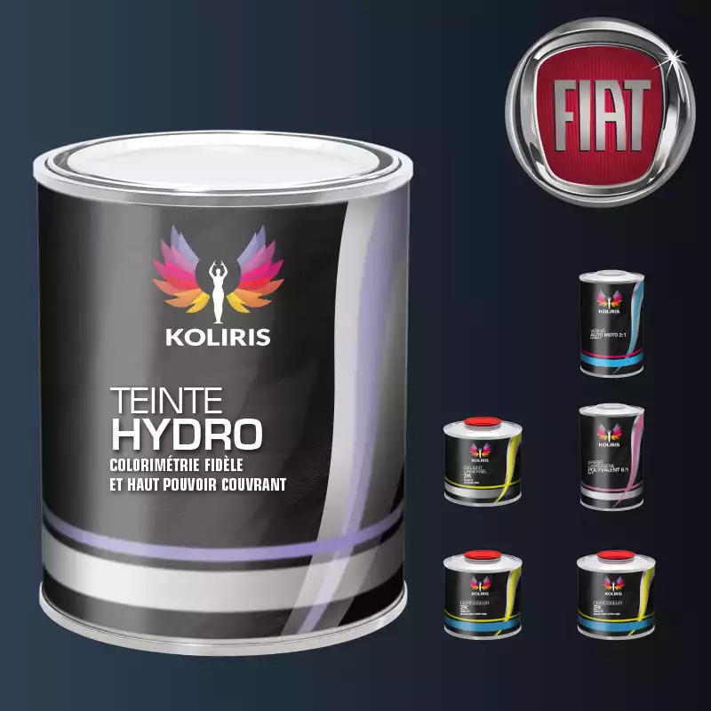 Pack peinture vernis apprêt voiture hydro Fiat