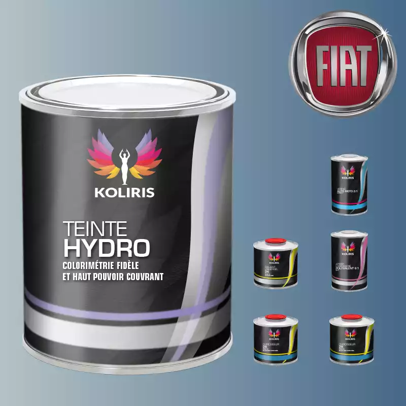 Pack peinture vernis apprêt voiture hydro Fiat