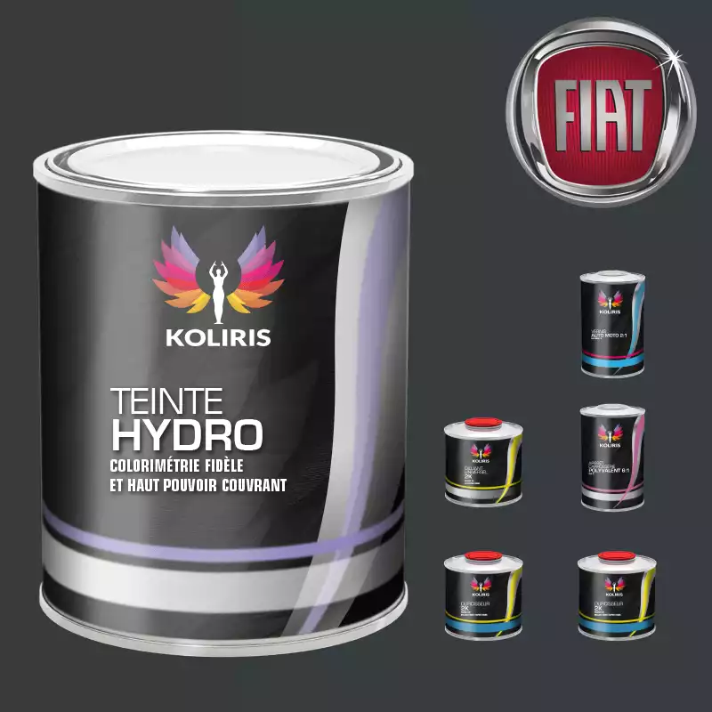 Pack peinture vernis apprêt voiture hydro Fiat