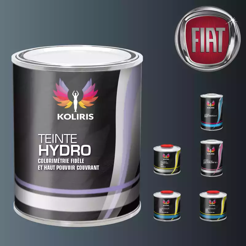 Pack peinture vernis apprêt voiture hydro Fiat