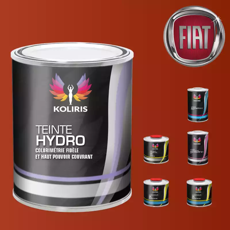 Pack peinture vernis apprêt voiture hydro Fiat