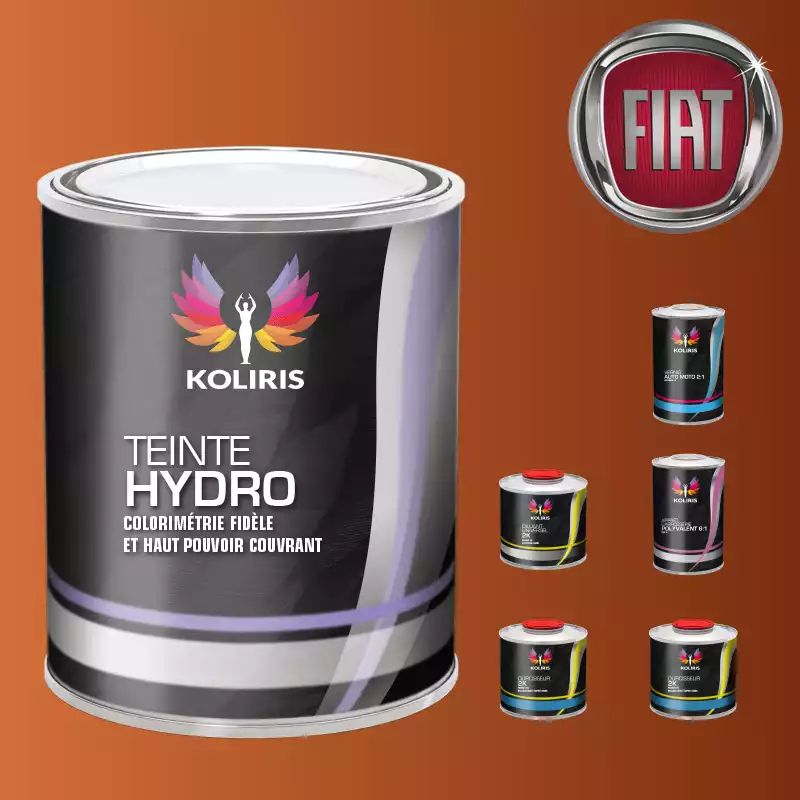 Pack peinture vernis apprêt voiture hydro Fiat