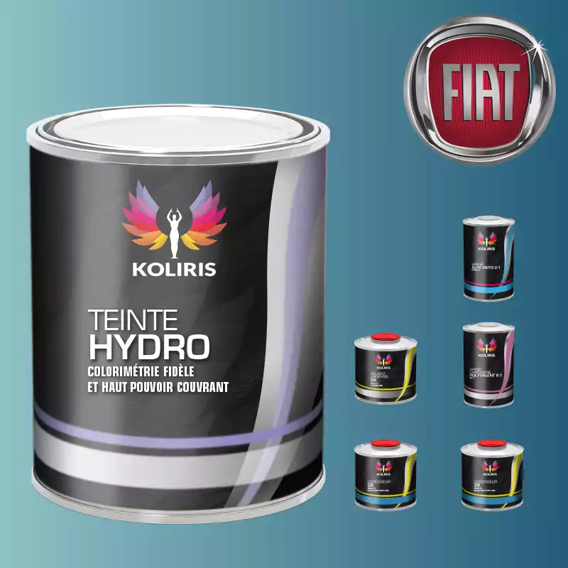 Pack peinture vernis apprêt voiture hydro Fiat