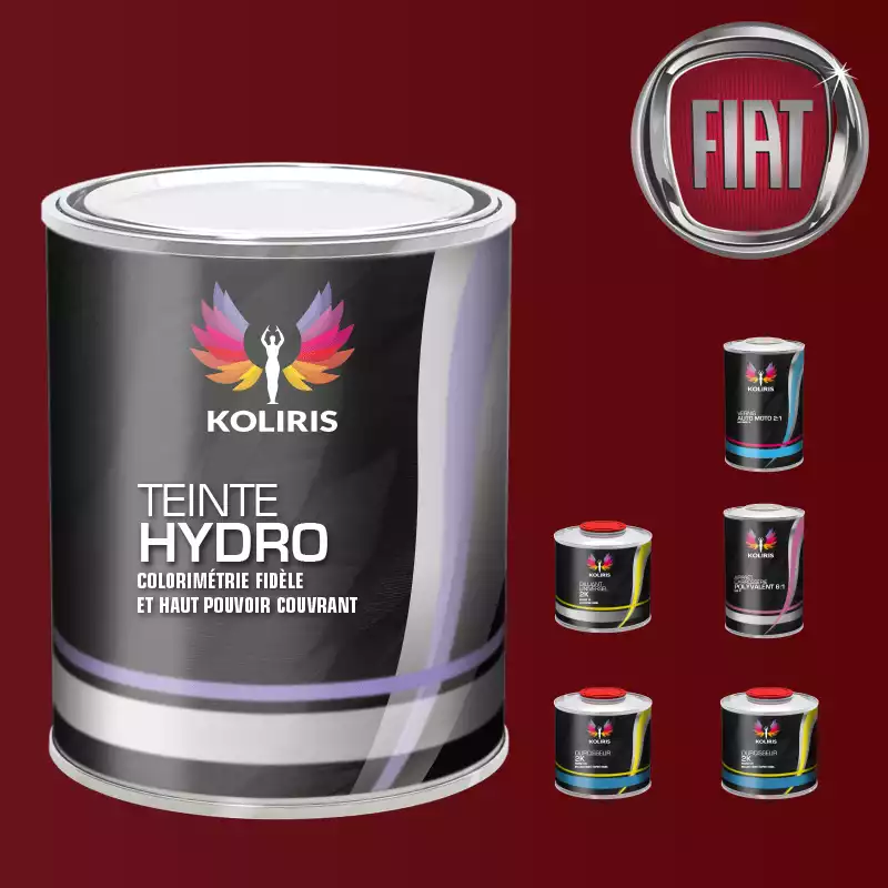 Pack peinture vernis apprêt voiture hydro Fiat