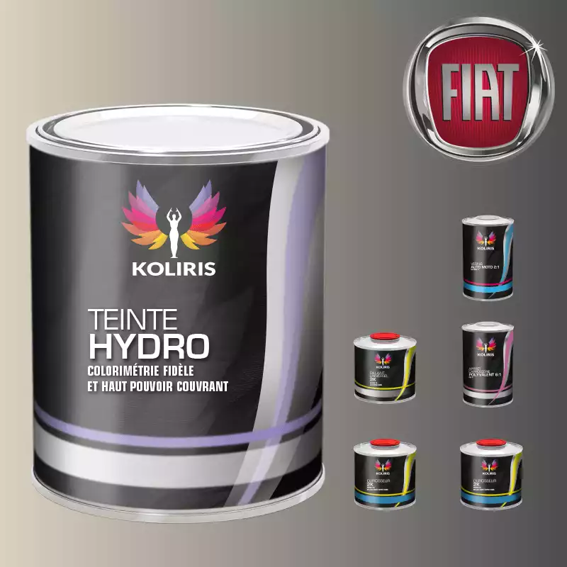 Pack peinture vernis apprêt voiture hydro Fiat