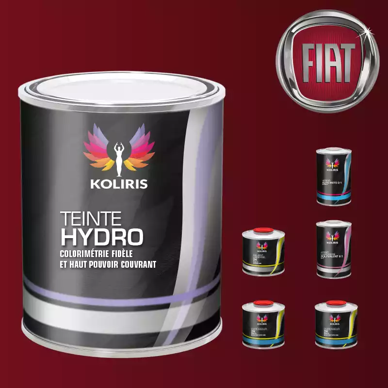 Pack peinture vernis apprêt voiture hydro Fiat