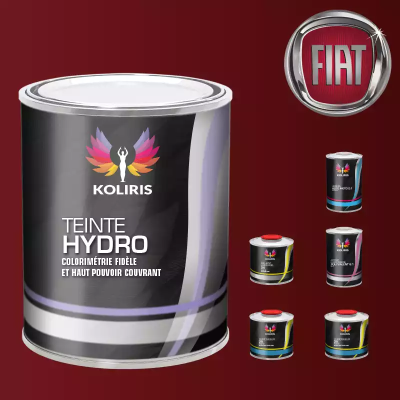 Pack peinture vernis apprêt voiture hydro Fiat