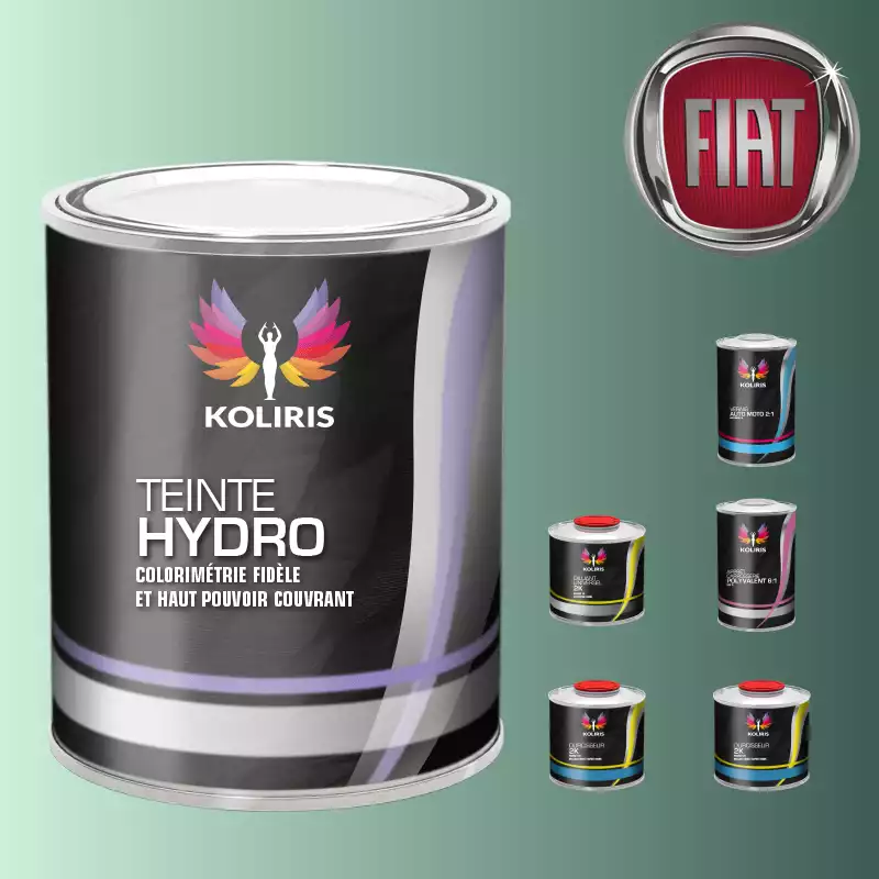 Pack peinture vernis apprêt voiture hydro Fiat
