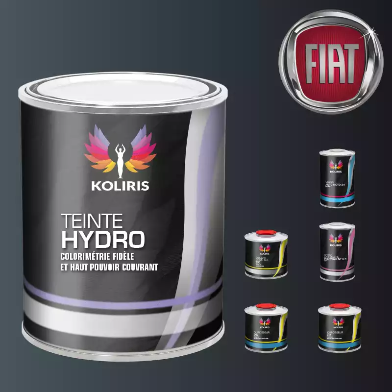 Pack peinture vernis apprêt voiture hydro Fiat