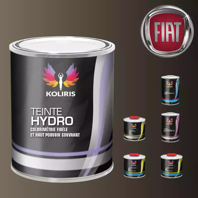 Pack peinture vernis apprêt voiture hydro Fiat