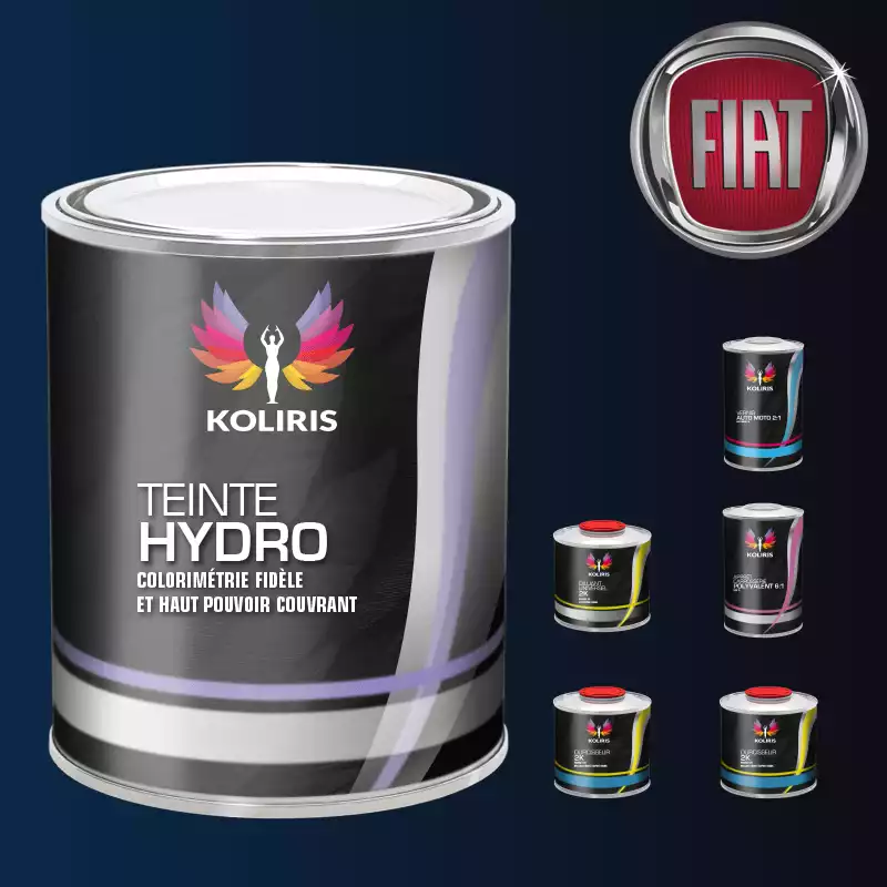 Pack peinture vernis apprêt voiture hydro Fiat