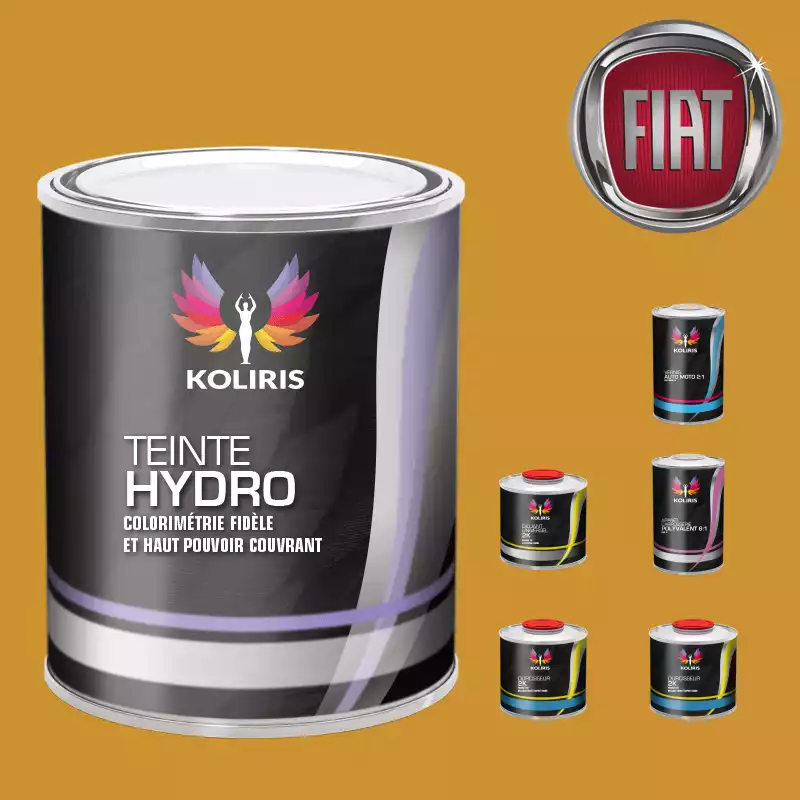 Pack peinture vernis apprêt voiture hydro Fiat