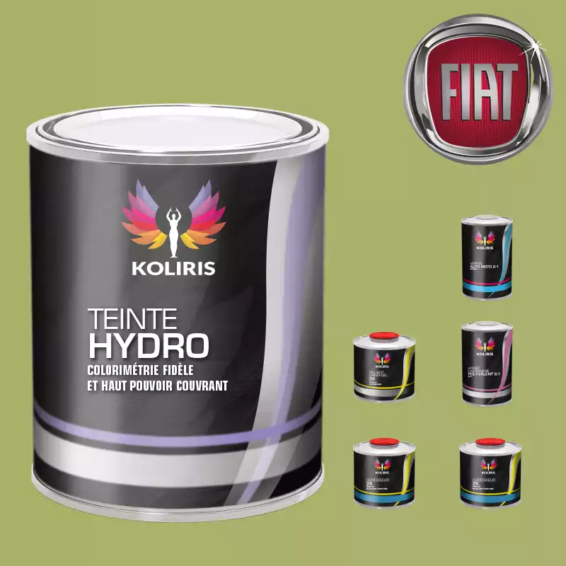 Pack peinture vernis apprêt voiture hydro Fiat