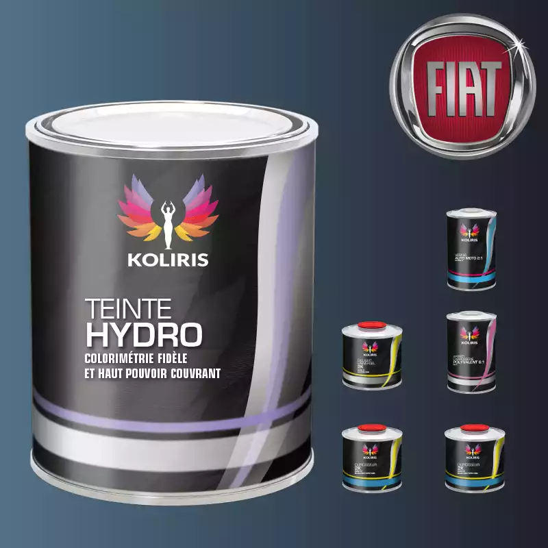 Pack peinture vernis apprêt voiture hydro Fiat