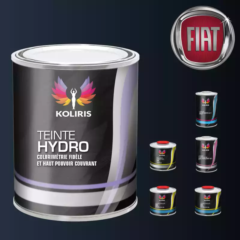 Pack peinture vernis apprêt voiture hydro Fiat