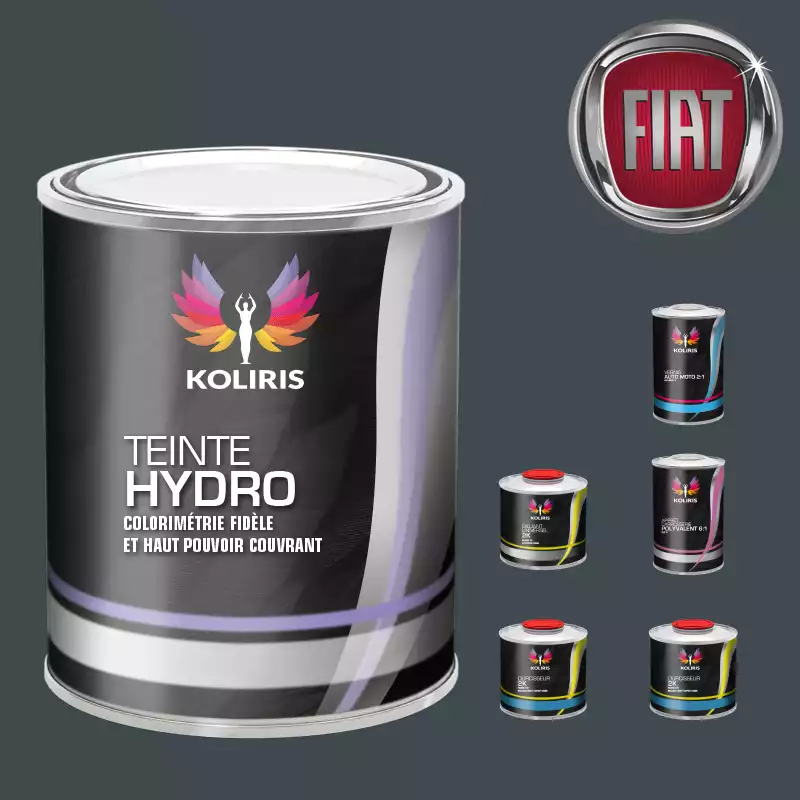 Pack peinture vernis apprêt voiture hydro Fiat