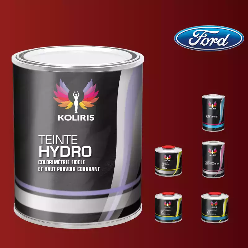 Pack peinture vernis apprêt voiture hydro Ford