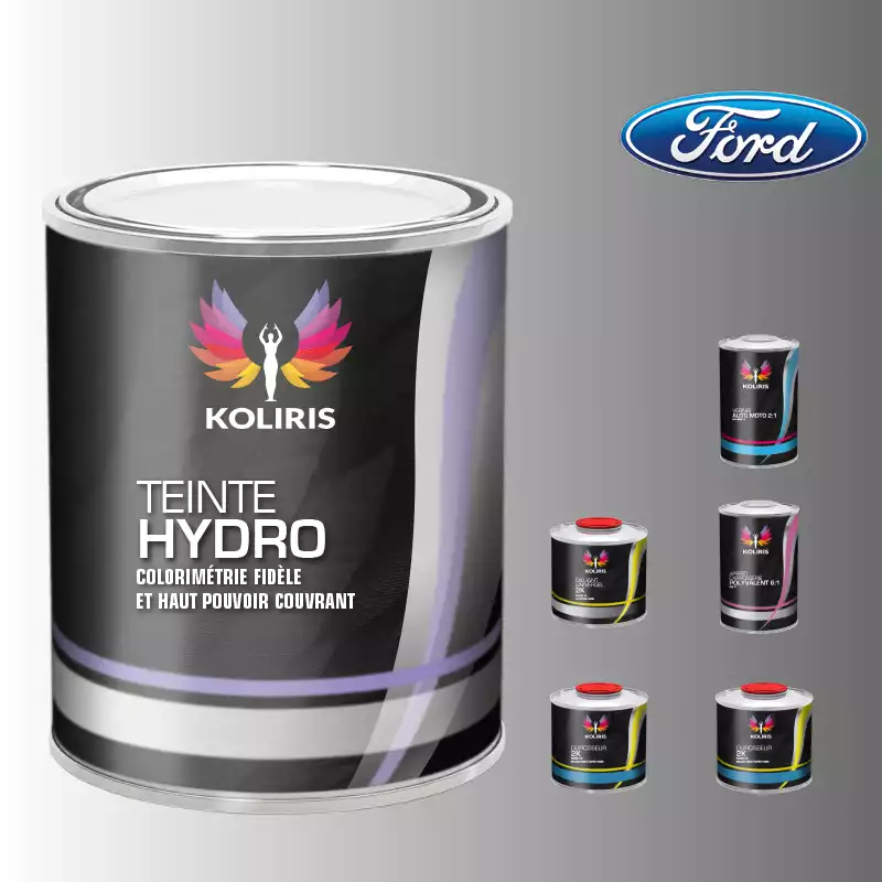 Pack peinture vernis apprêt voiture hydro Ford